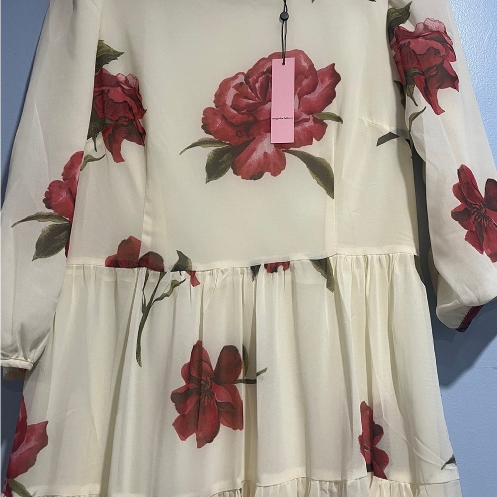 NWT 🌹 Floral Cream Dress with Red Flowers Ivory Rose Dress